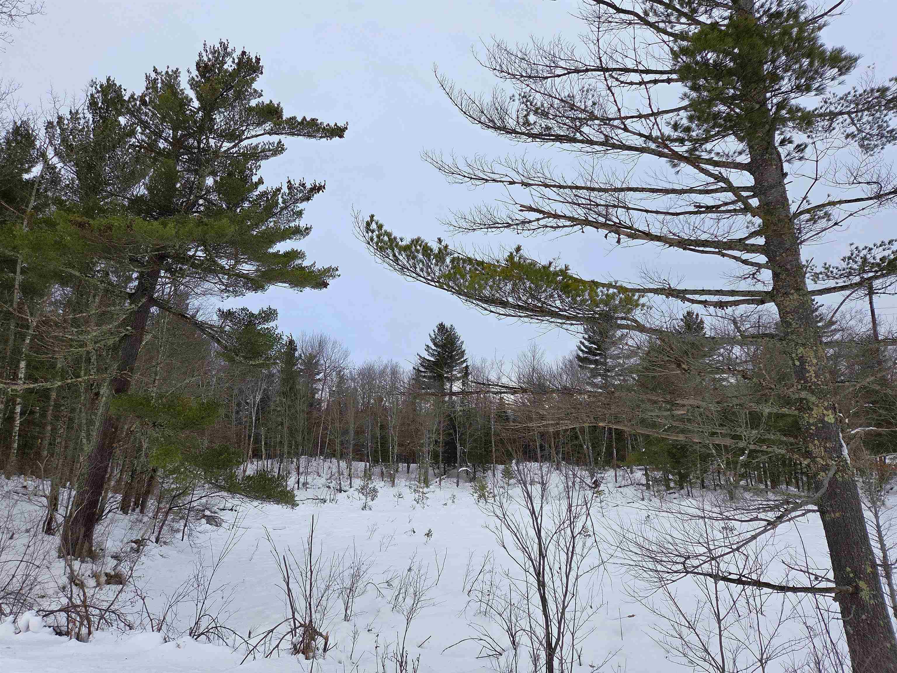 45XXX Highway 63 Cable WI 54821 6123184 image7