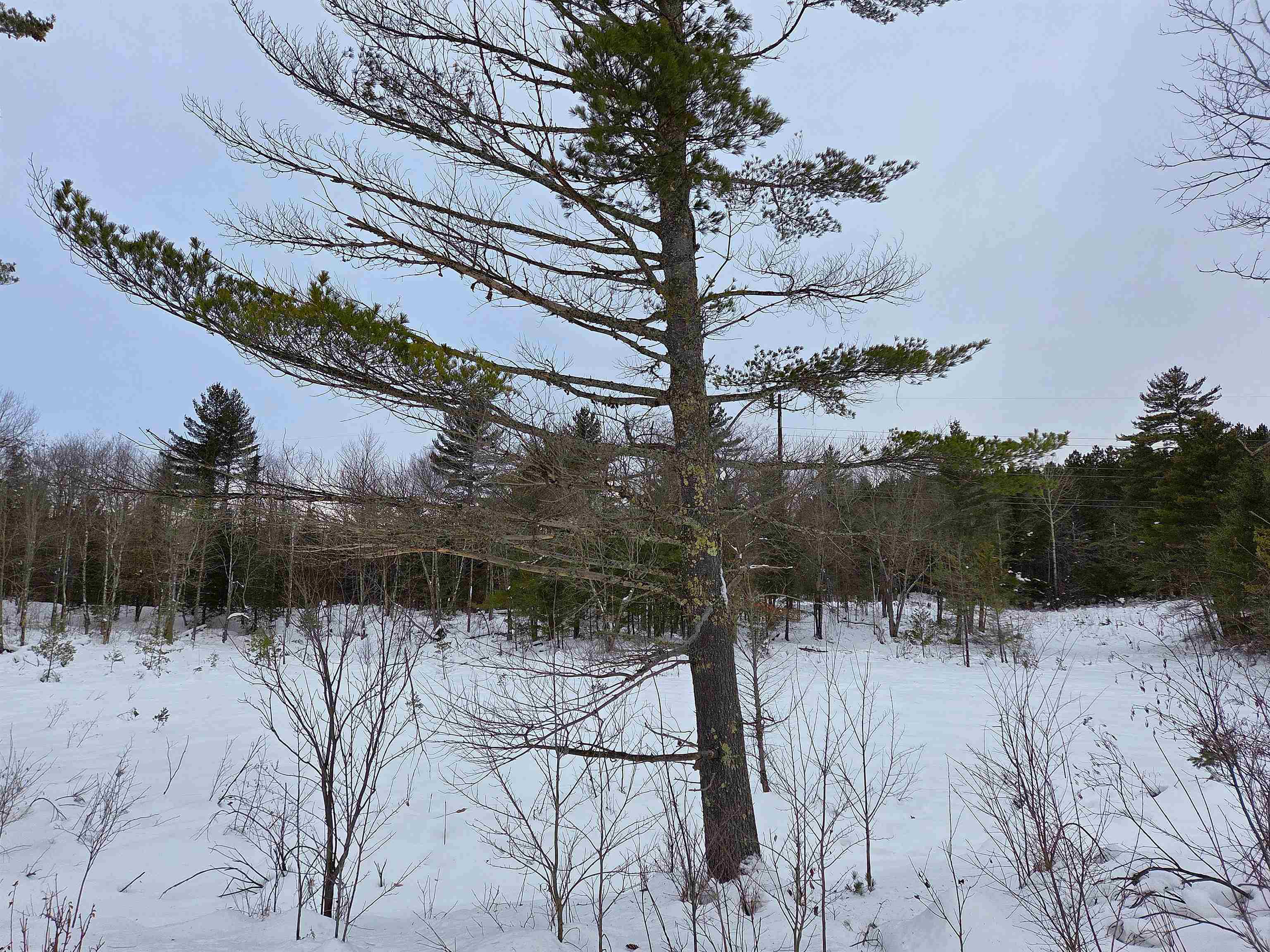 45XXX Highway 63 Cable WI 54821 6123184 image8