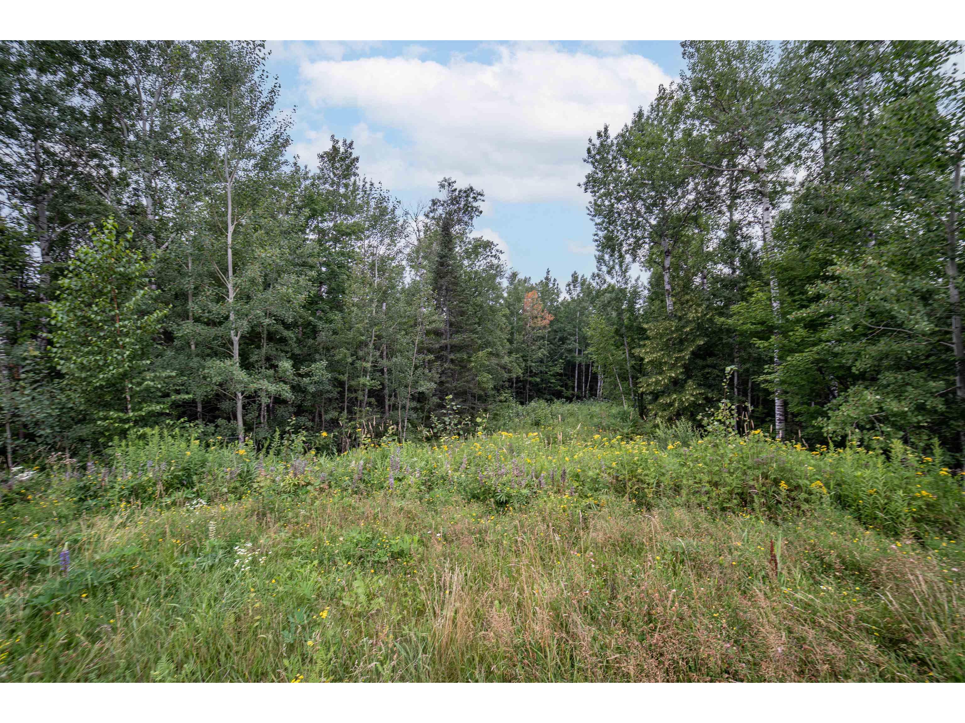 45xx - Lot B1 Norway Pines Place Hermantown MN 55811 6117757 image7