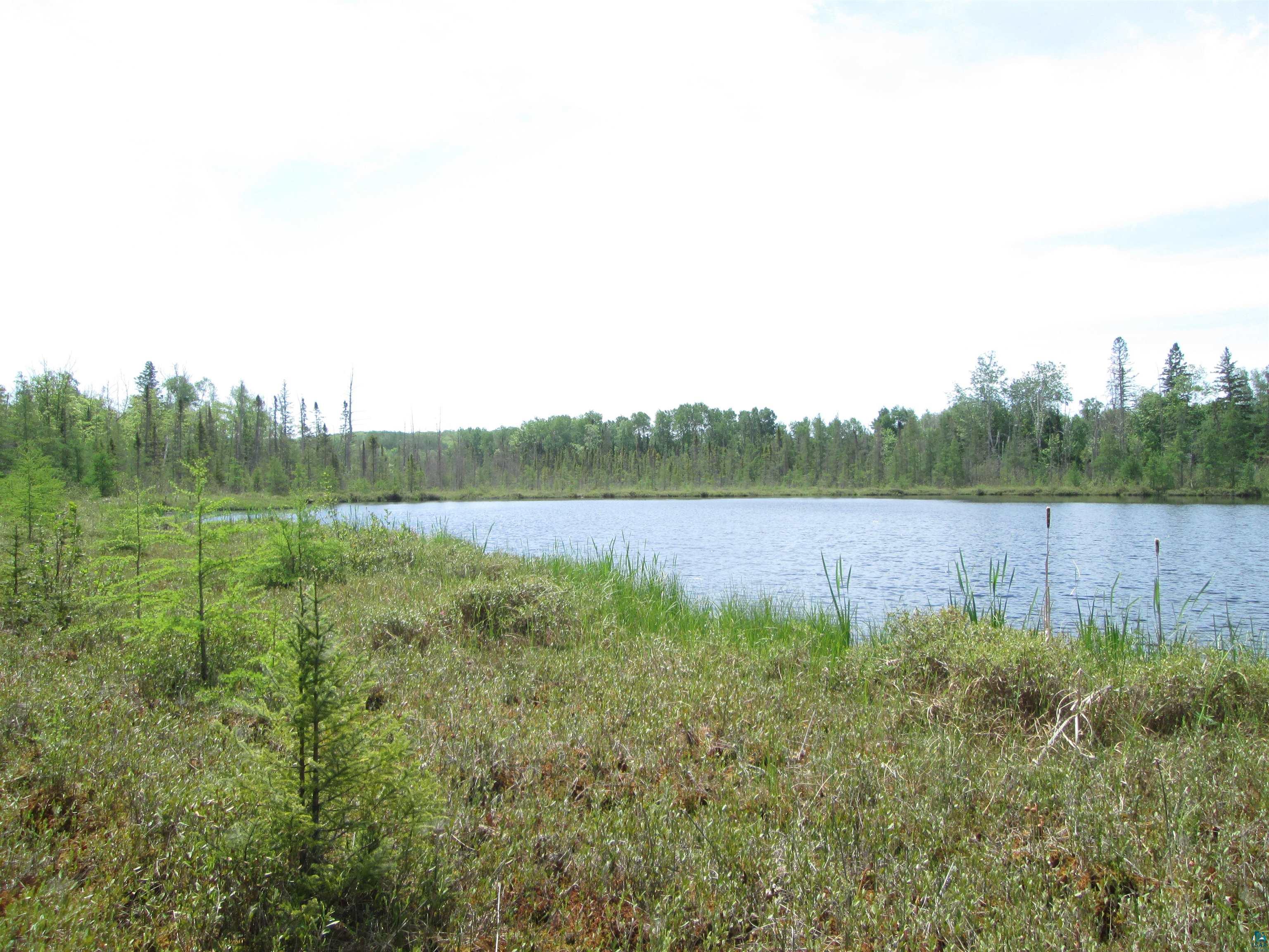 4606 Maki Rd Brookston MN 55711 6125821 image17