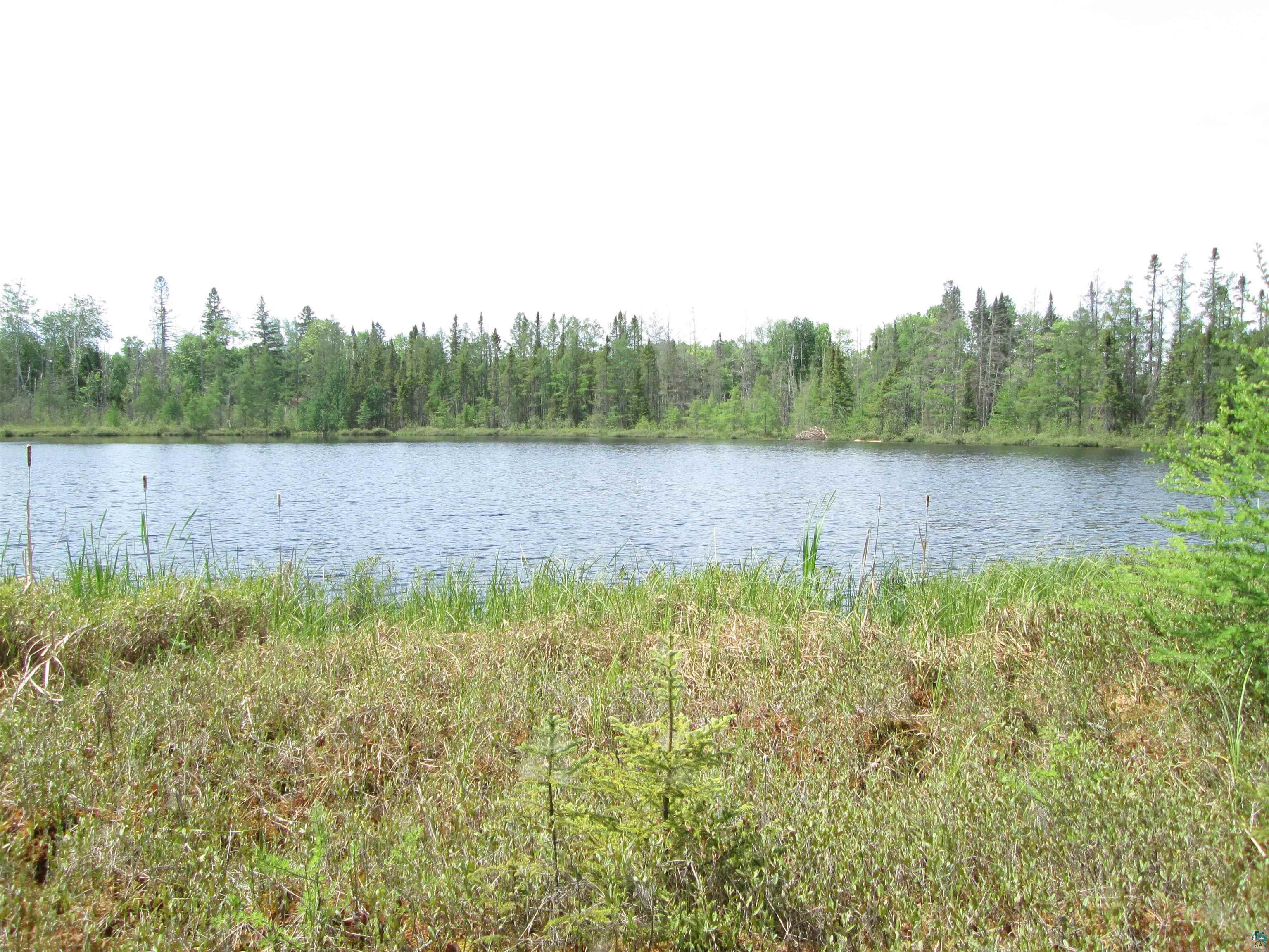 4606 Maki Rd Brookston MN 55711 6125821 image18