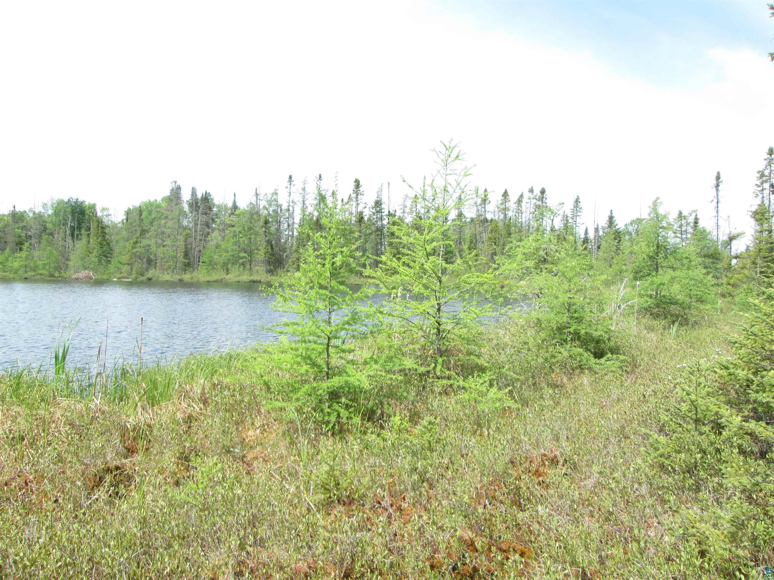 4606 Maki Rd Brookston MN 55711 6125821 image19