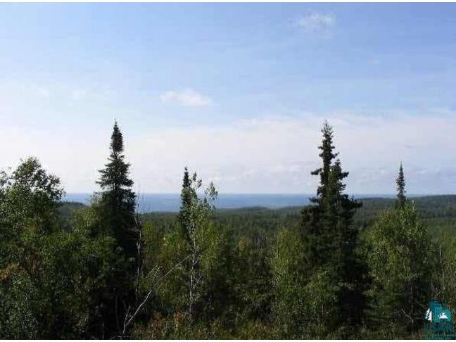 46X Moose Valley Rd Hovland MN 55605 6108970 image1