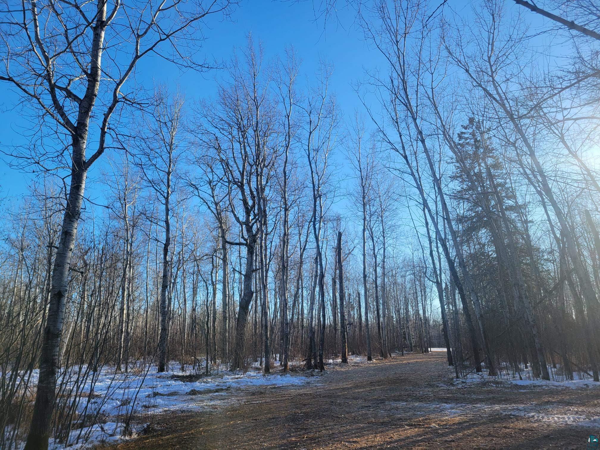 46xx State Rd 13 Port Wing WI 54865 - Lake Superior 6123364 image21