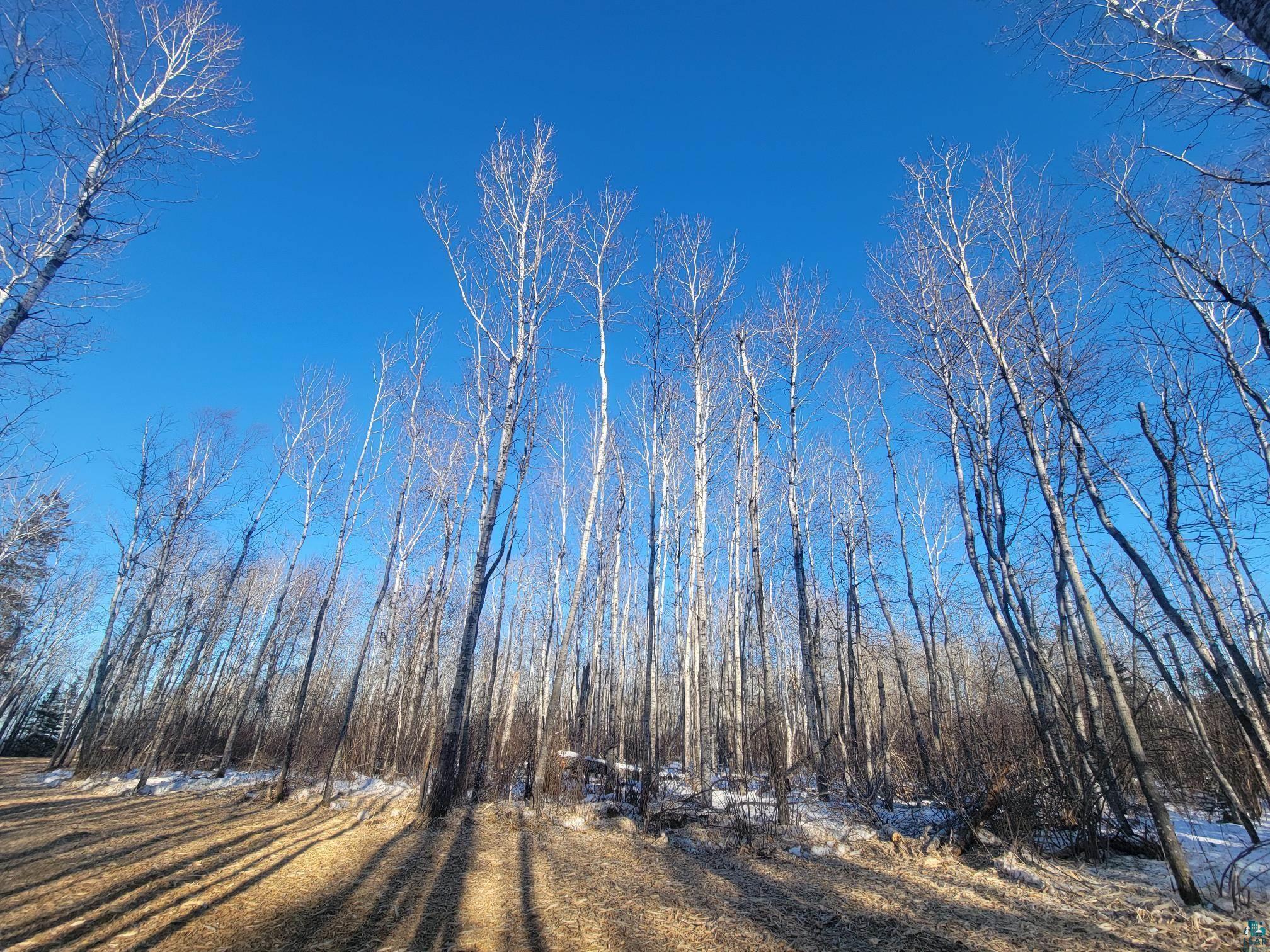 46xx State Rd 13 Port Wing WI 54865 - Lake Superior 6123364 image6