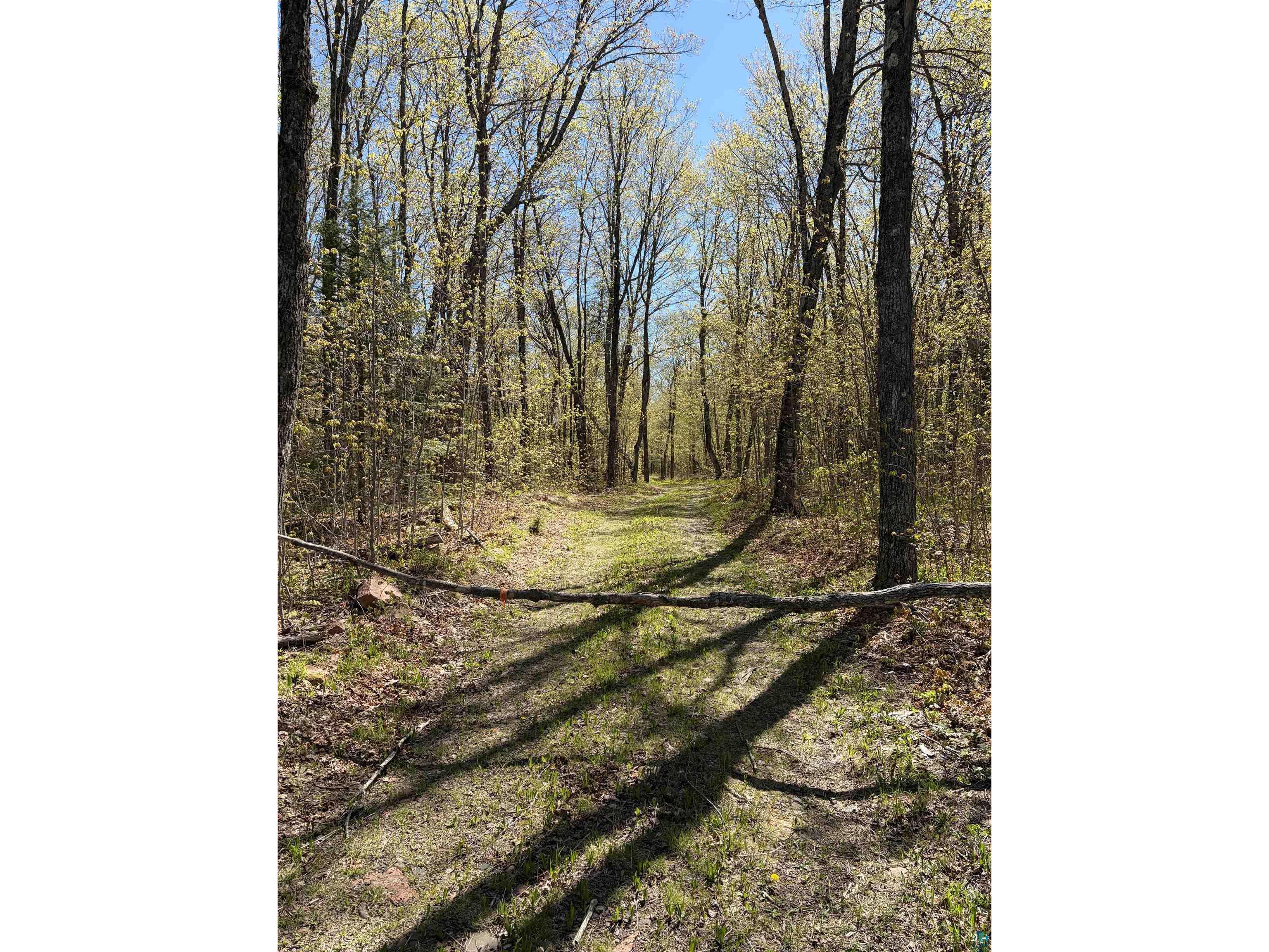 4715 Hefflefinger Rd Finland MN 55603 6125631 image22