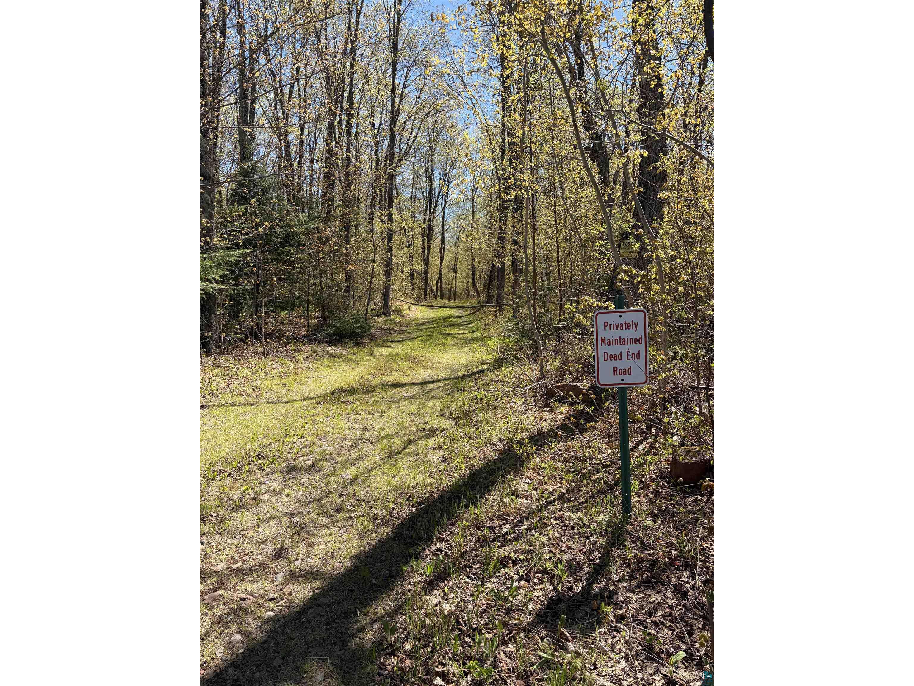 4715 Hefflefinger Rd Finland MN 55603 6125631 image23