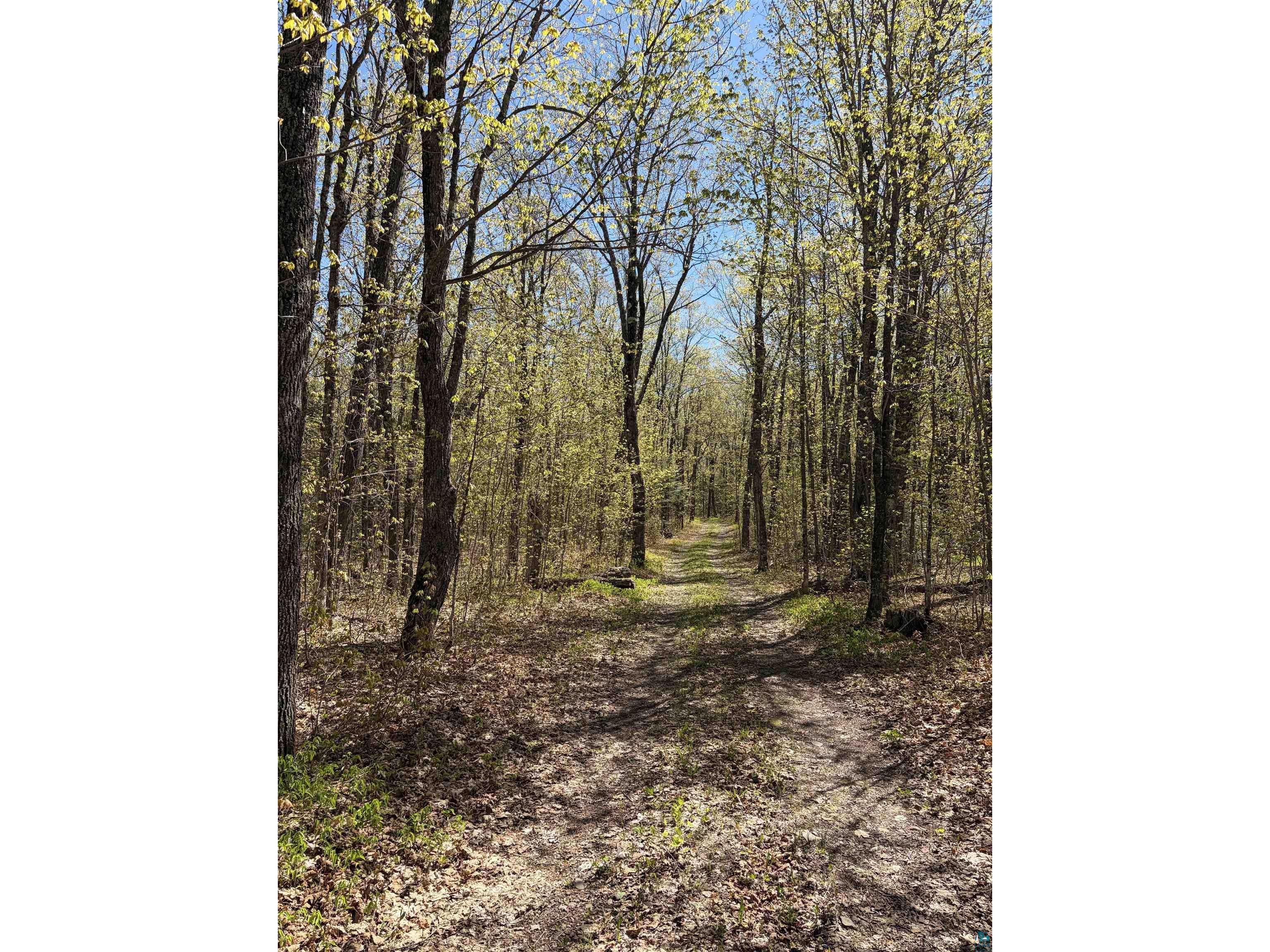 4715 Hefflefinger Rd Finland MN 55603 6125631 image24