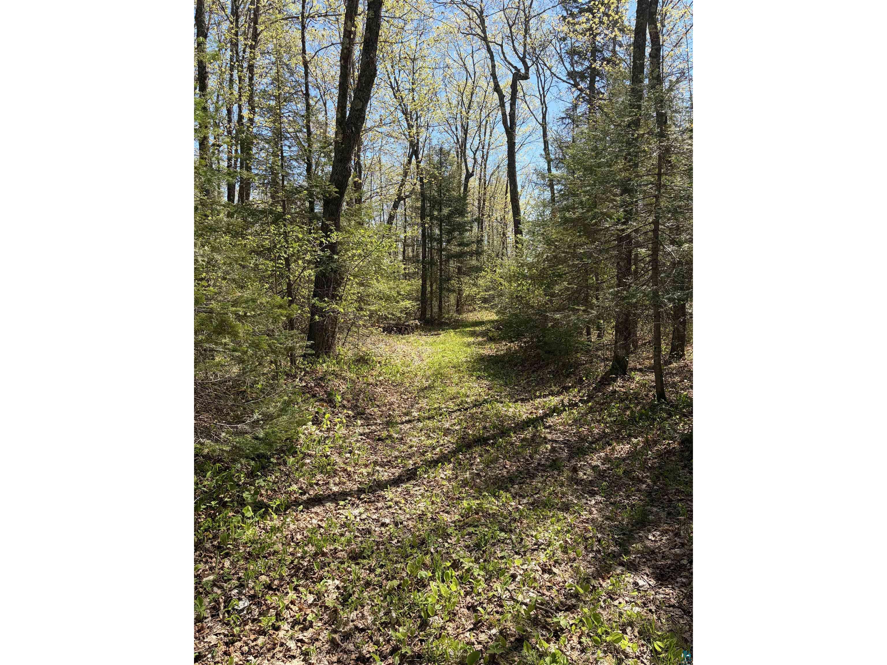 4715 Hefflefinger Rd Finland MN 55603 6125631 image25