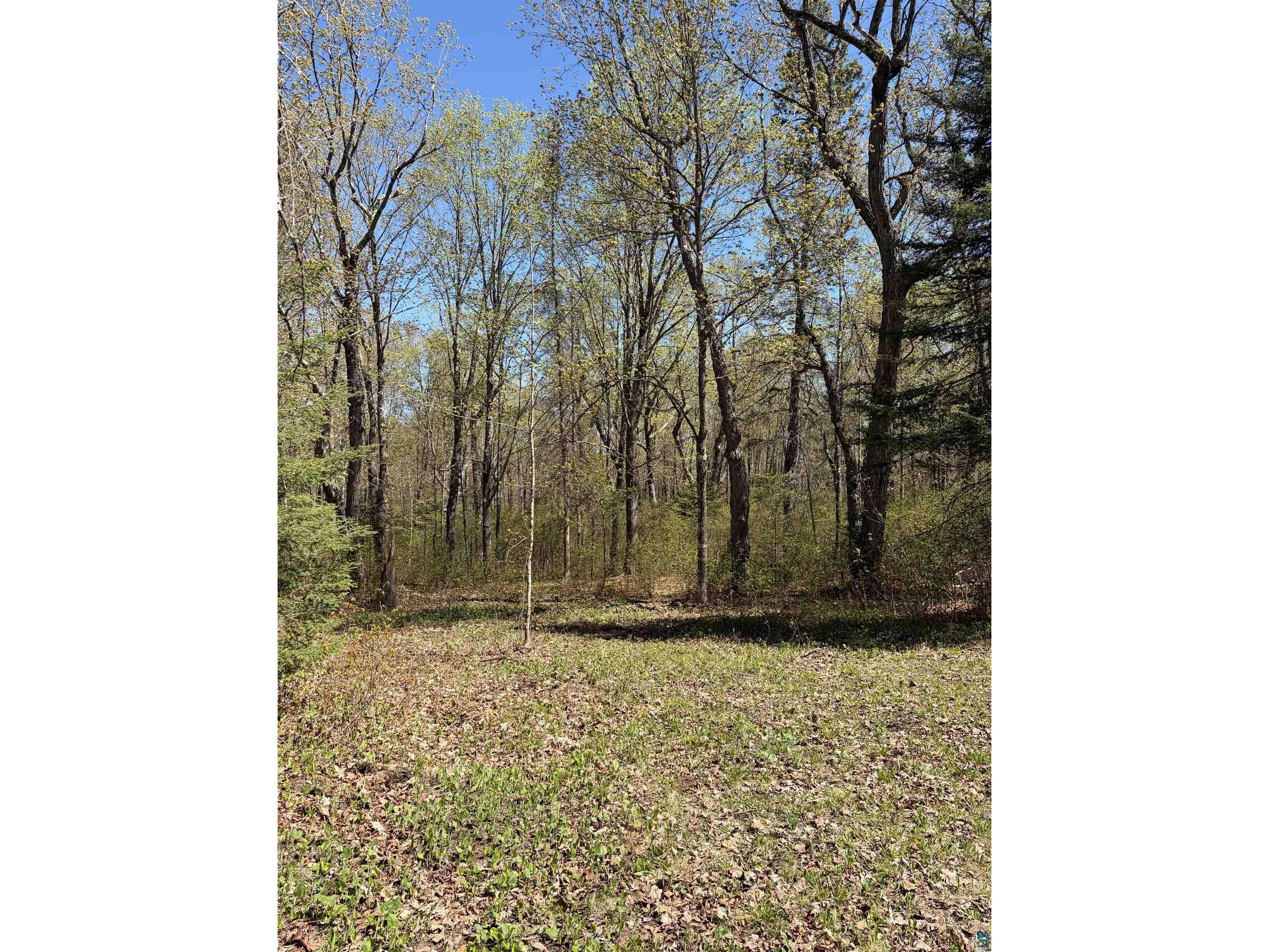 4715 Hefflefinger Rd Finland MN 55603 6125631 image27