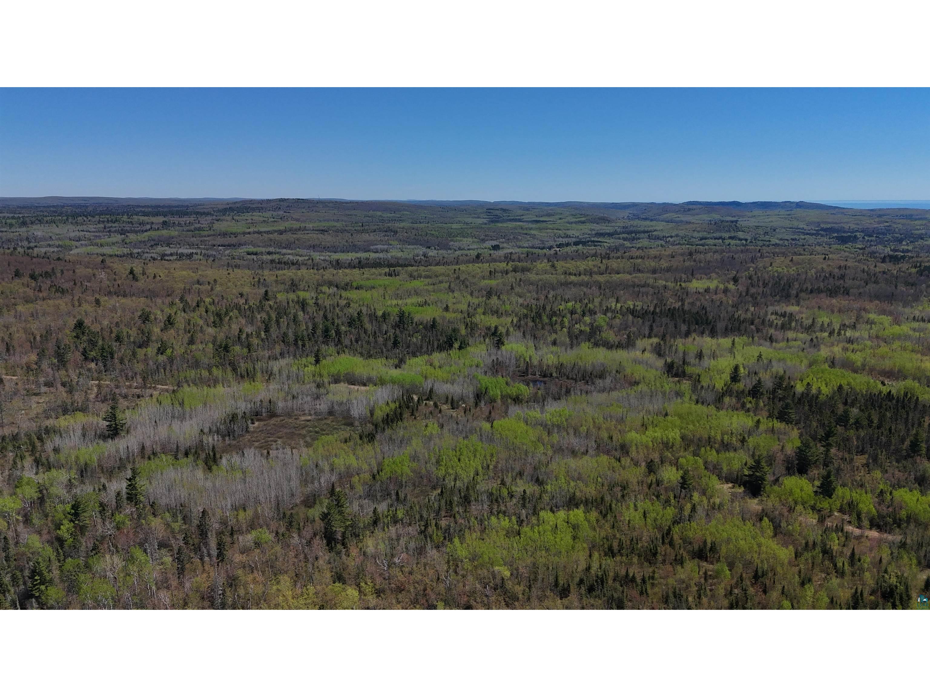 4715 Hefflefinger Rd Finland MN 55603 6125631 image8