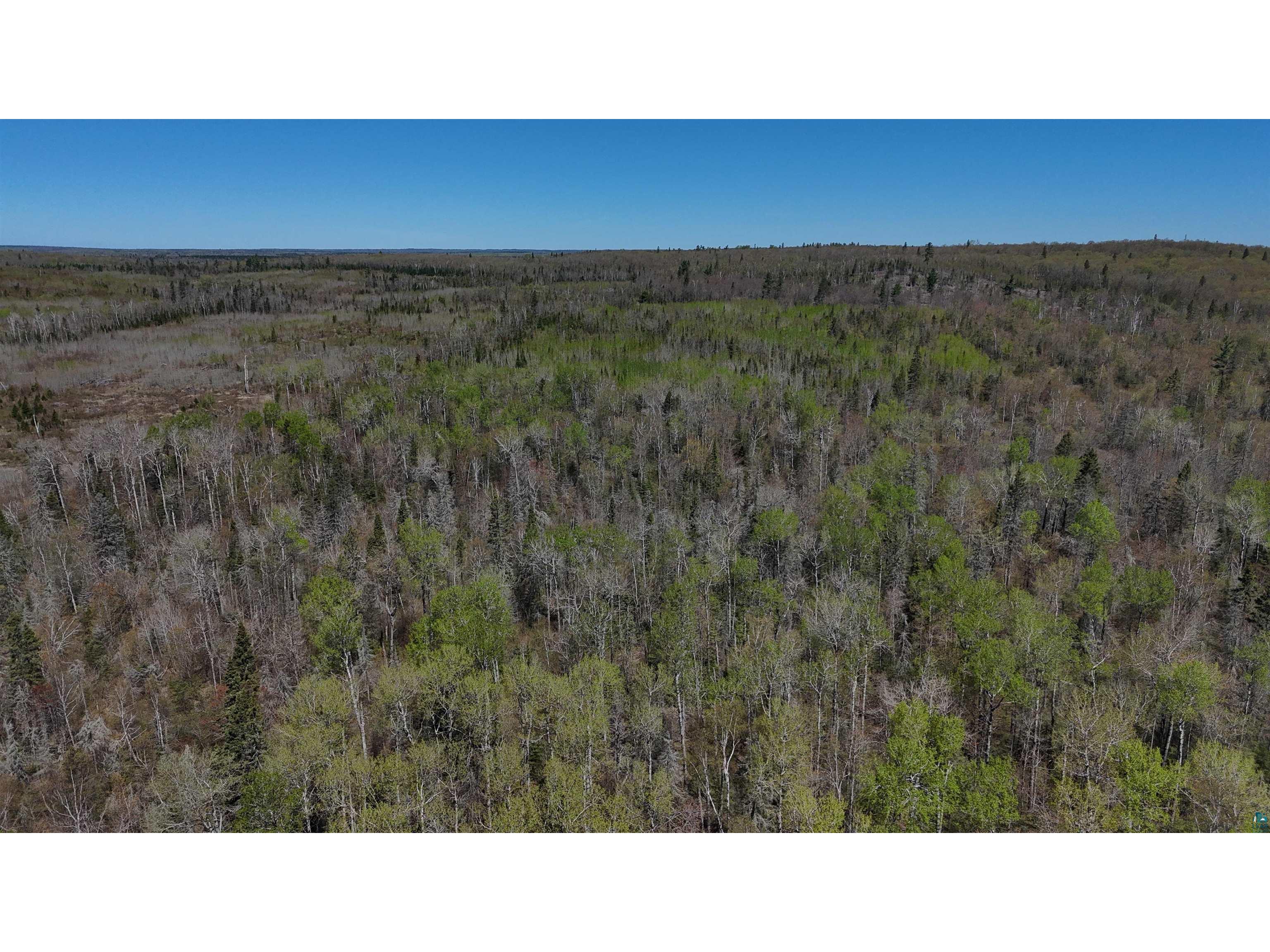 4715 Hefflefinger Rd Finland MN 55603 6125631 image9