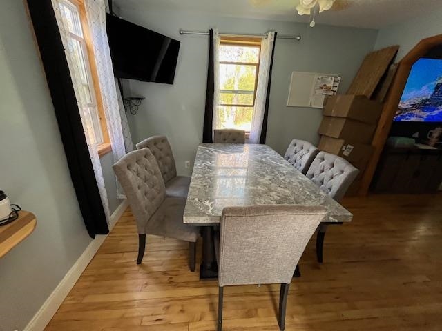 4789 Differding Point Rd Eveleth MN 55734 6122090 image13