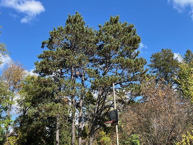 4789 Differding Point Rd Eveleth MN 55734 6122090 image27