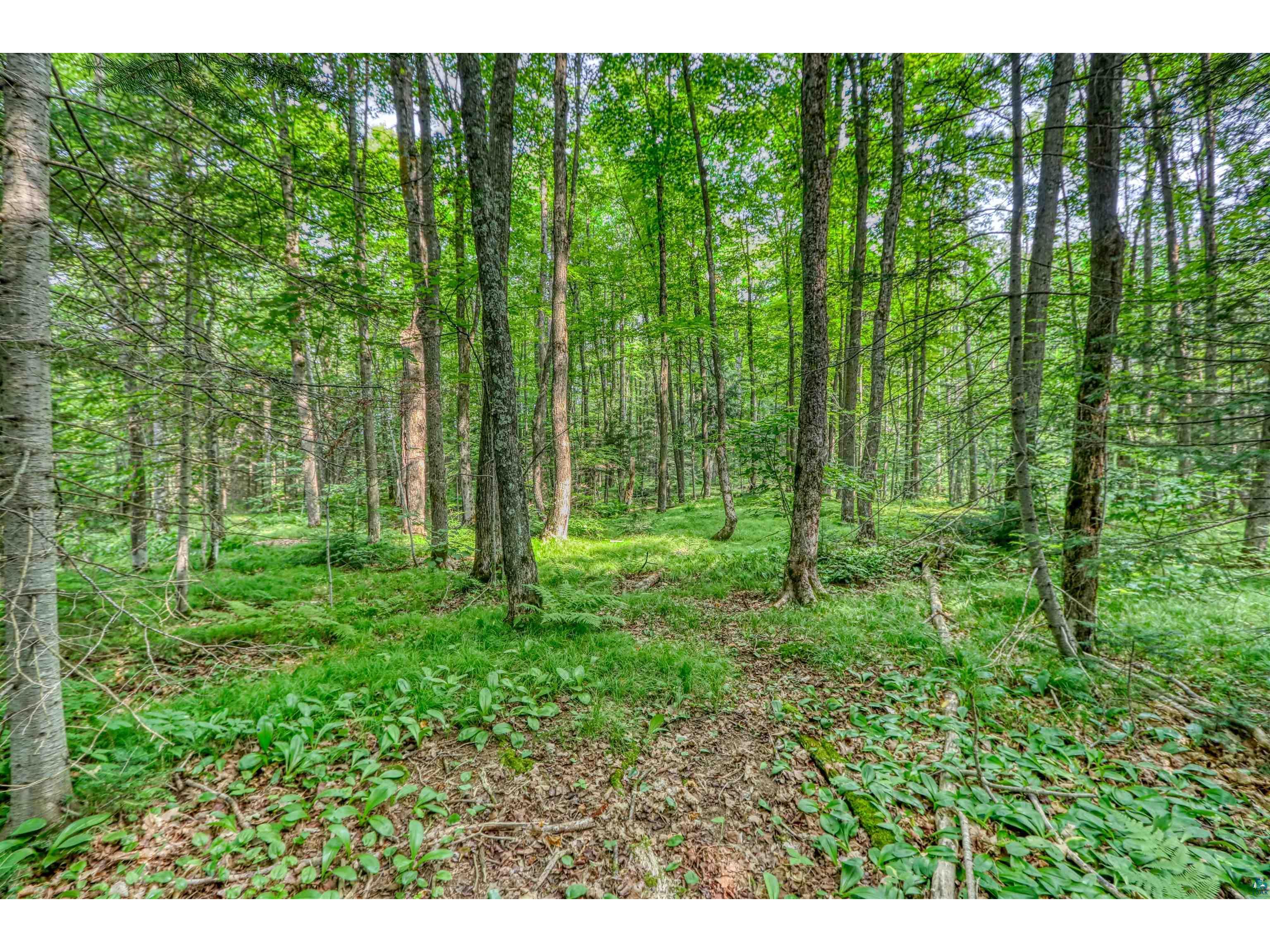 48400 Old Grade Rd Cable WI 54821 - Atkins Lake 6121287 image42