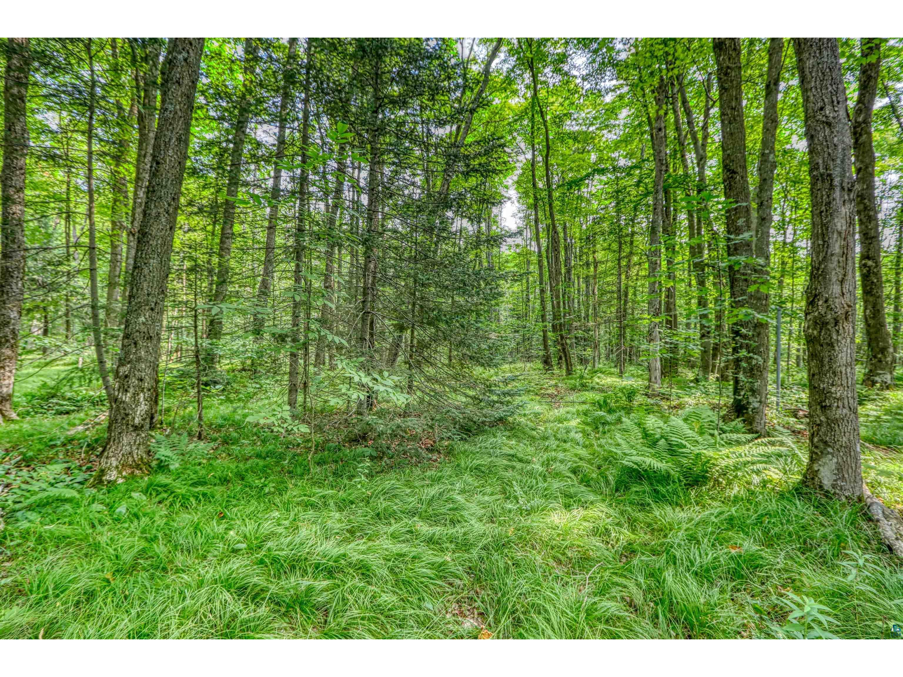 48400 Old Grade Rd Cable WI 54821 - Atkins Lake 6121287 image44