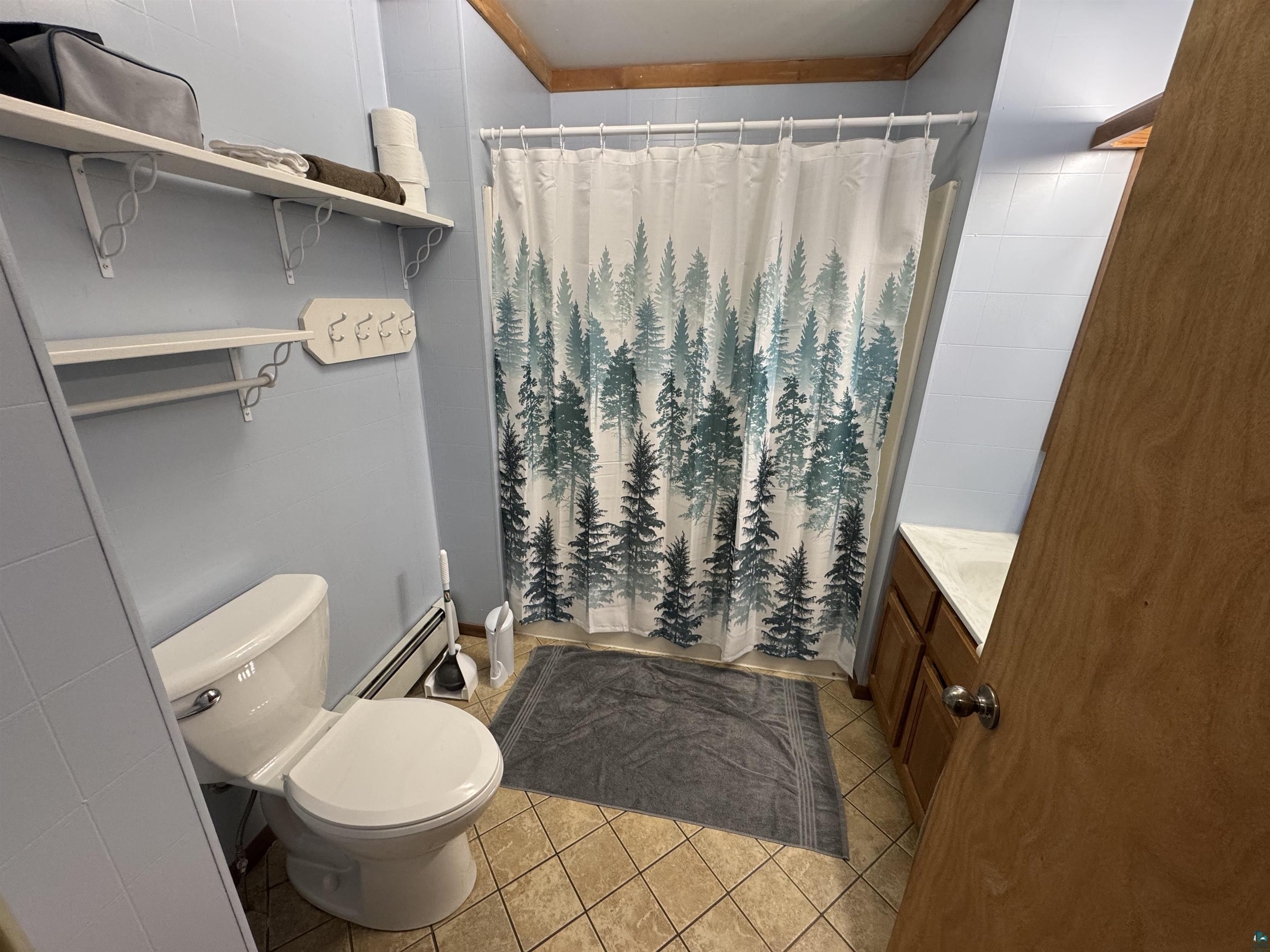 4897 S Swanson Dr Maple WI 54854 6124802 image6