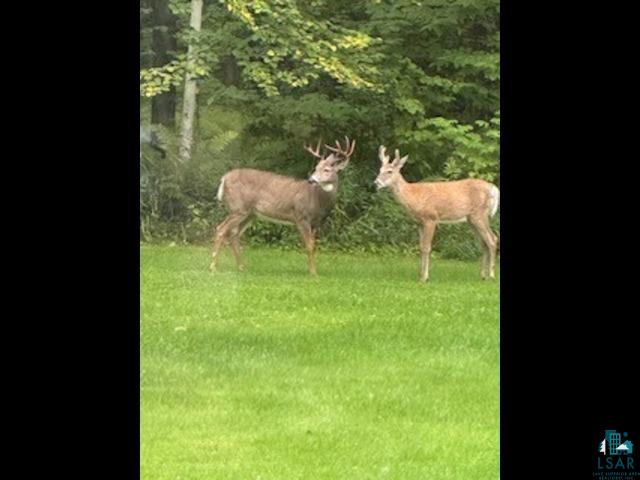4942 Radar Rd Hermantown MN 55811 6125575 image48