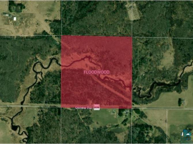 49XX Genew Rd, Floodwood, MN, 55736 MLS 6107565 Edina Realty