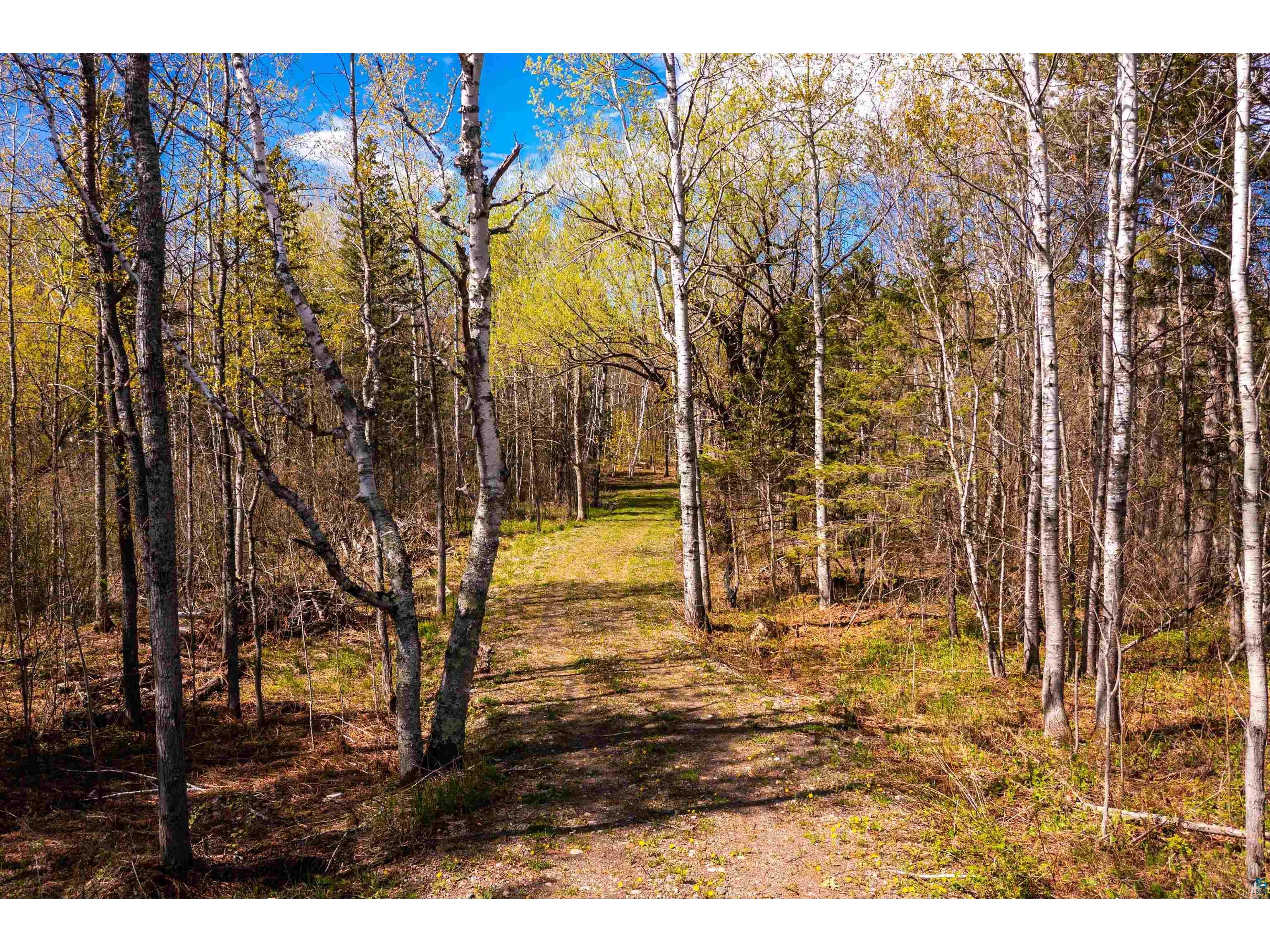 49xx Morris Thomas Rd Hermantown MN 55811 6125665 image3
