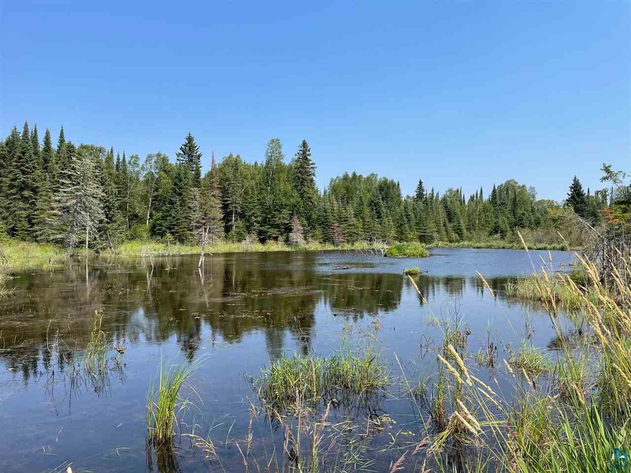 4XX-A Lost Lake Rd Hovland MN 55606 6098652 image1