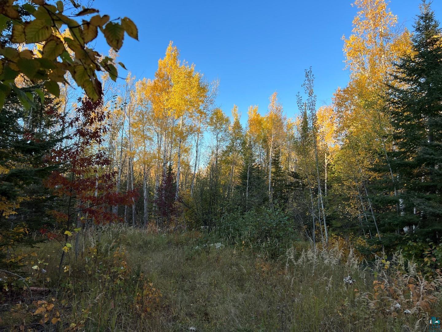 4XXX North Rd Hovland MN 55606 6111622 image1