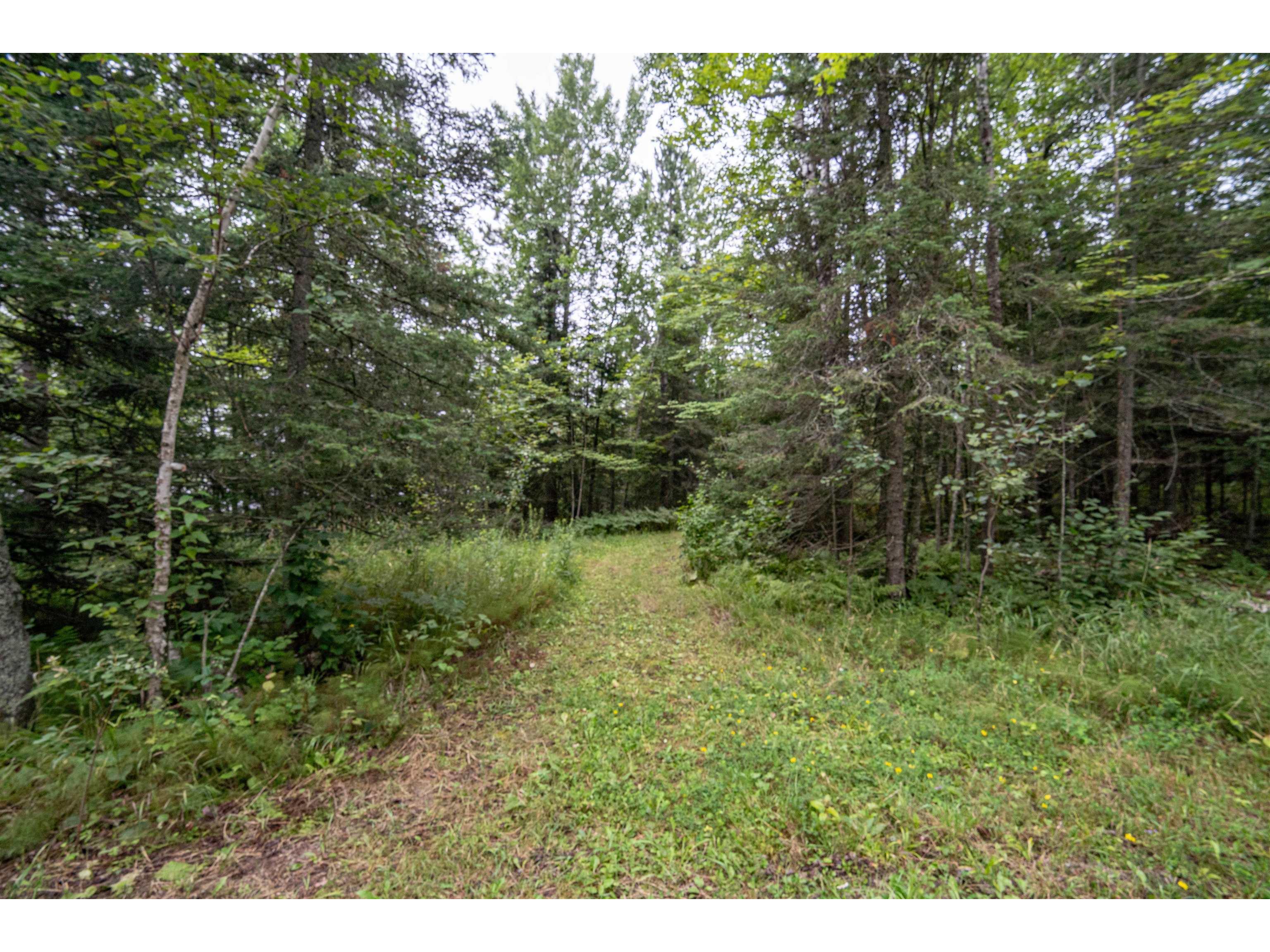 4xxx Toivonen Rd Makinen MN 55763 - Whiteface 6121366 image8