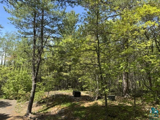 5039 Big Lake Rd Ely MN 55731 6125779 image11