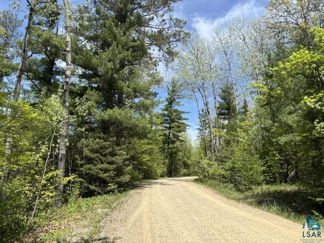 5039 Big Lake Rd Ely MN 55731 6125779 image13