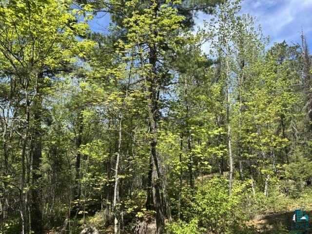 5049 Big Lake Rd Ely MN 55731 6125723 image10