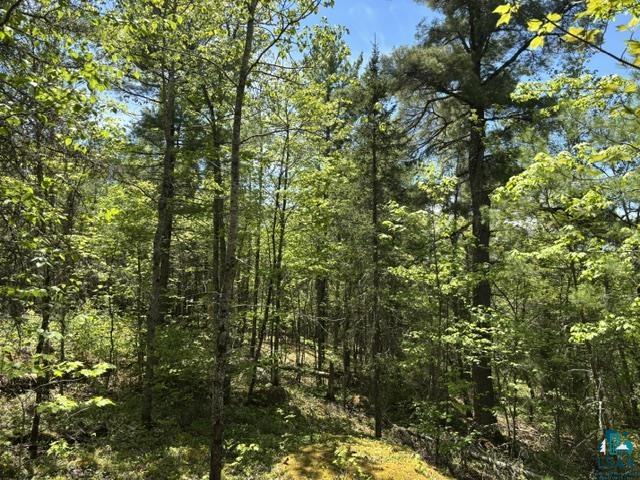 5049 Big Lake Rd Ely MN 55731 6125723 image11