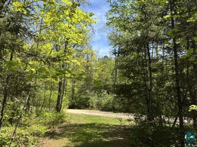 5049 Big Lake Rd Ely MN 55731 6125723 image14