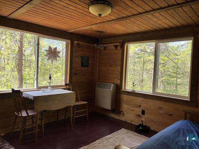 5049 Big Lake Rd Ely MN 55731 6125723 image3