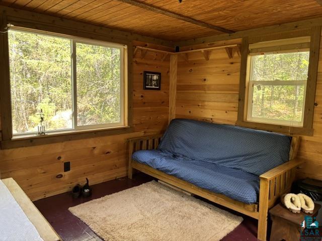5049 Big Lake Rd Ely MN 55731 6125723 image5