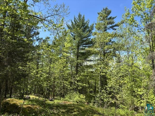5049 Big Lake Rd Ely MN 55731 6125723 image8