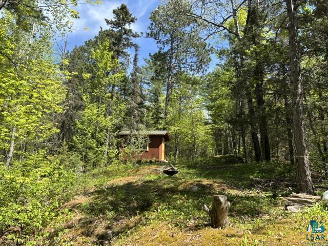 5049 Big Lake Rd Ely MN 55731 6125723 image9