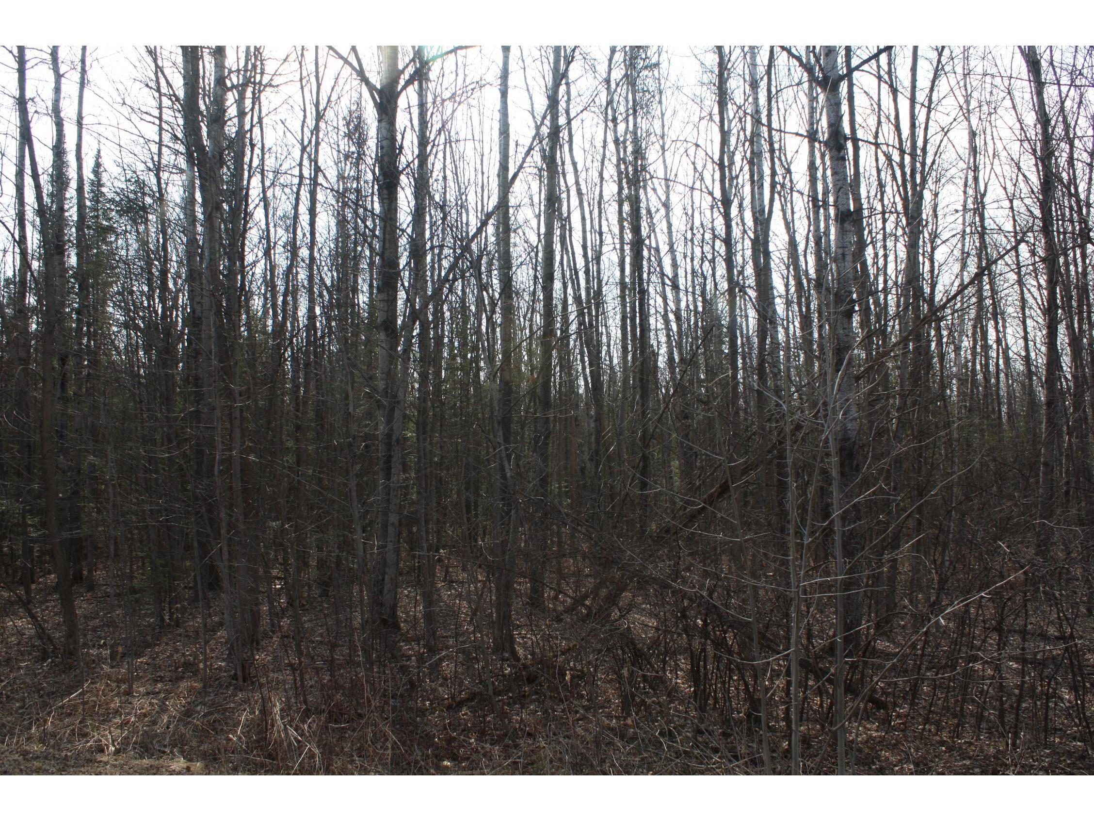 50XX S Maple Dr Poplar WI 54864 6123690 image2