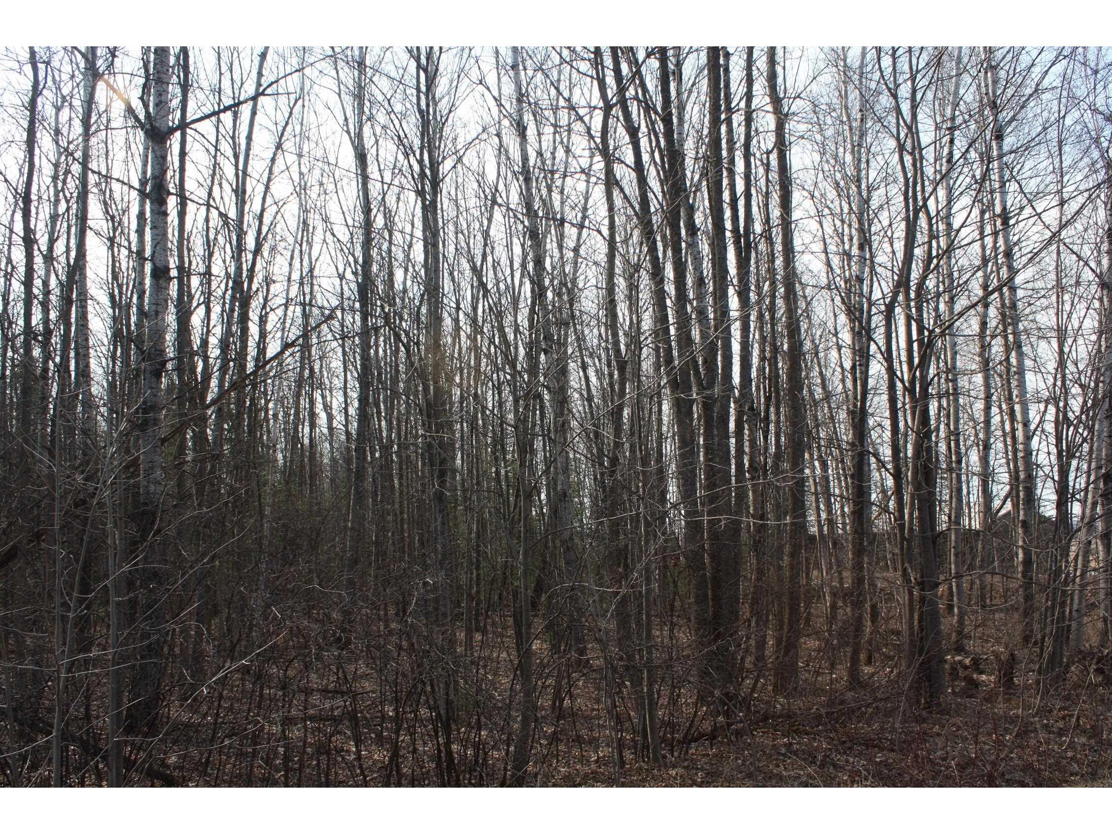 50XX S Maple Dr Poplar WI 54864 6123690 image3