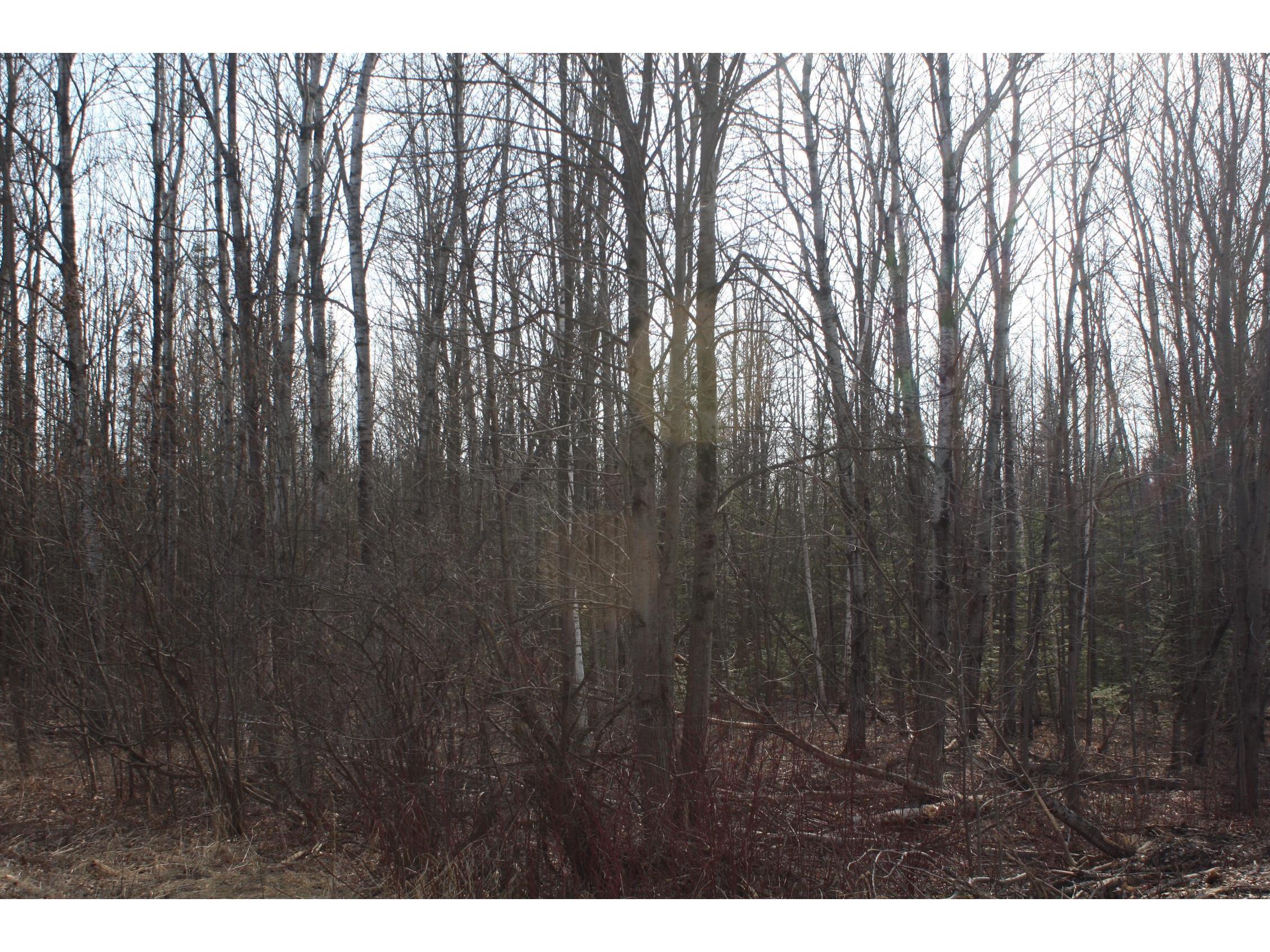 50XX S Maple Dr Poplar WI 54864 6123690 image4