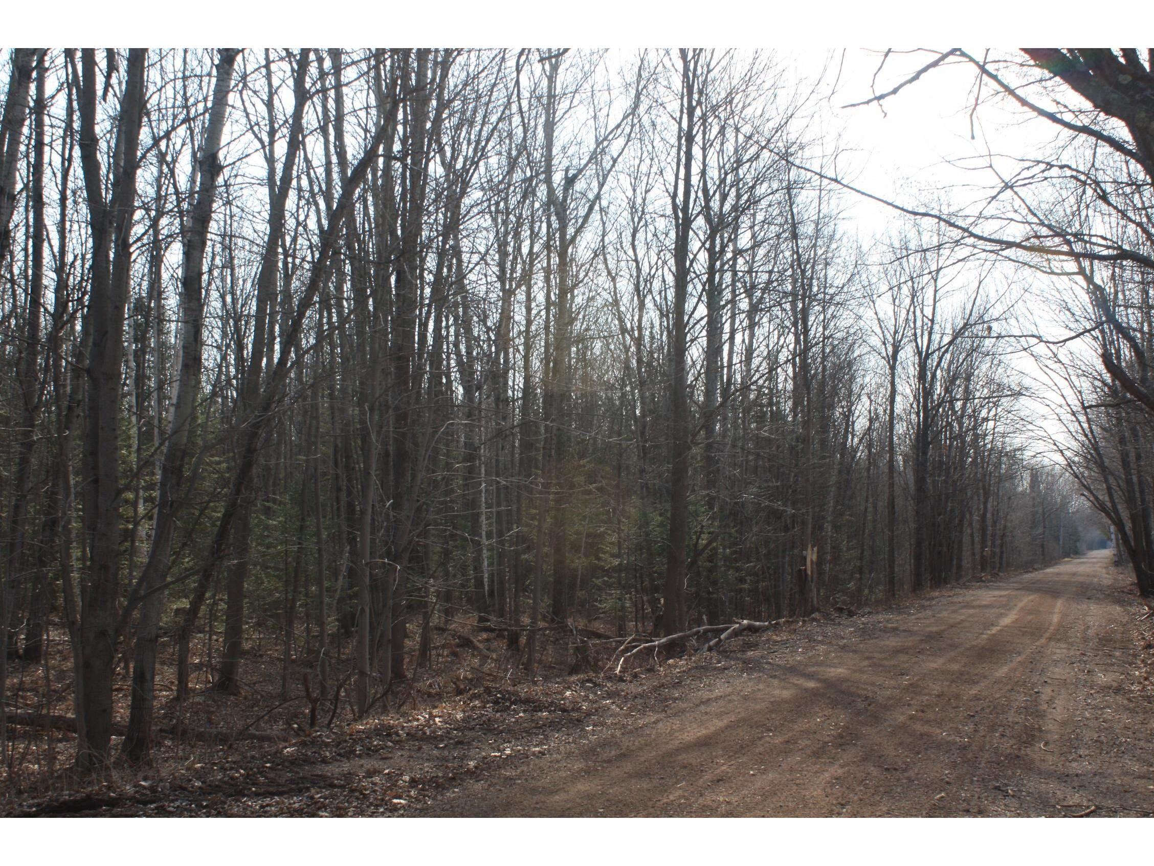 50XX S Maple Dr Poplar WI 54864 6123690 image5