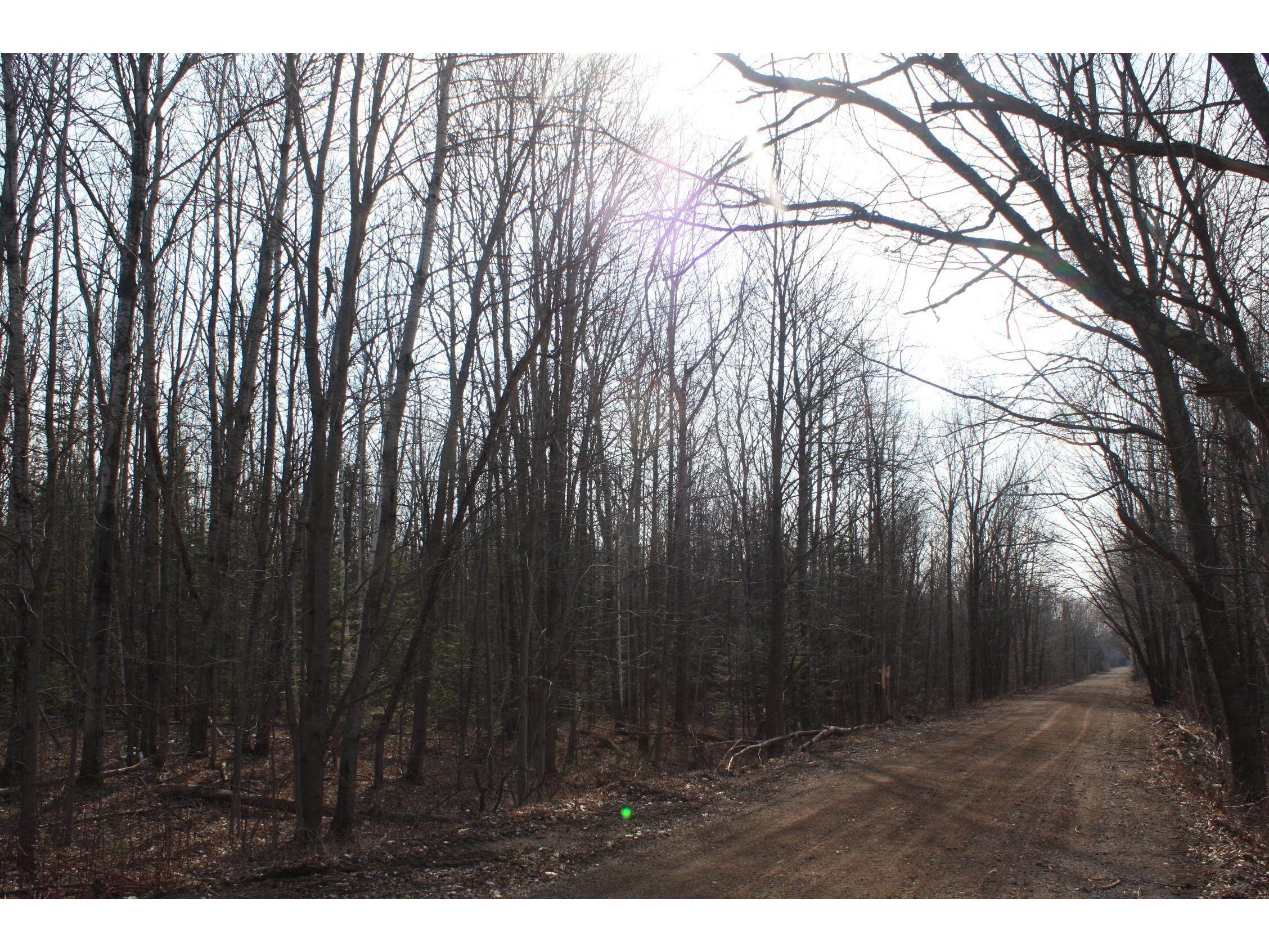 50XX S Maple Dr Poplar WI 54864 6123690 image6