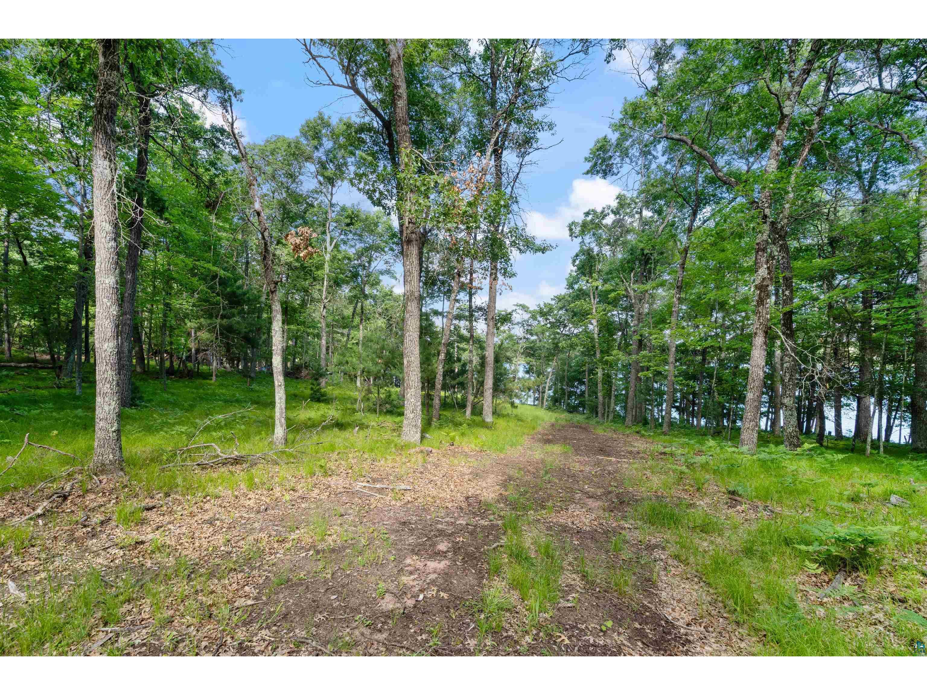 51230 Birch Lake Rd Barnes WI 54873 - Birch 6126367 image22