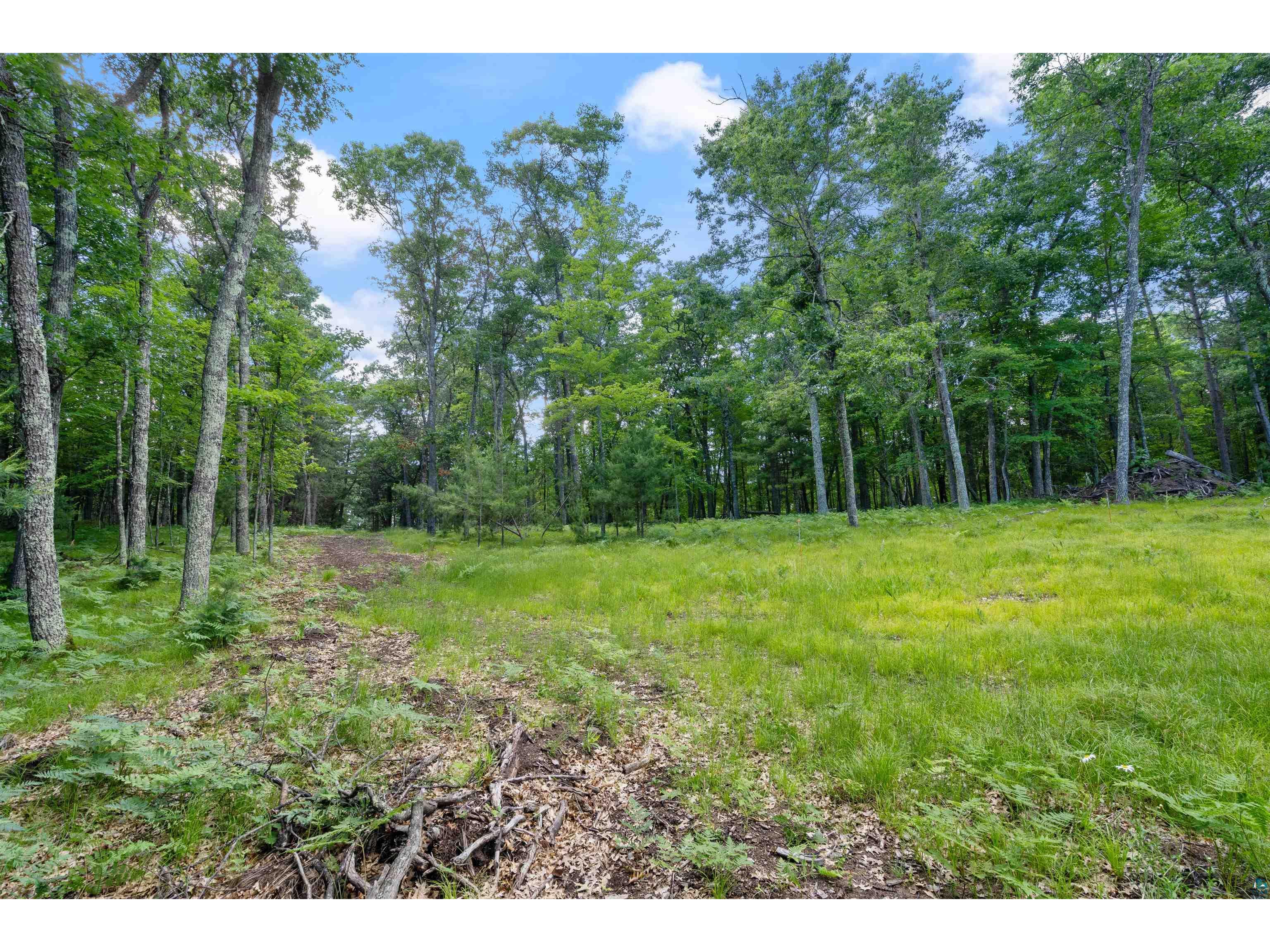 51230 Birch Lake Rd Barnes WI 54873 - Birch 6126367 image23