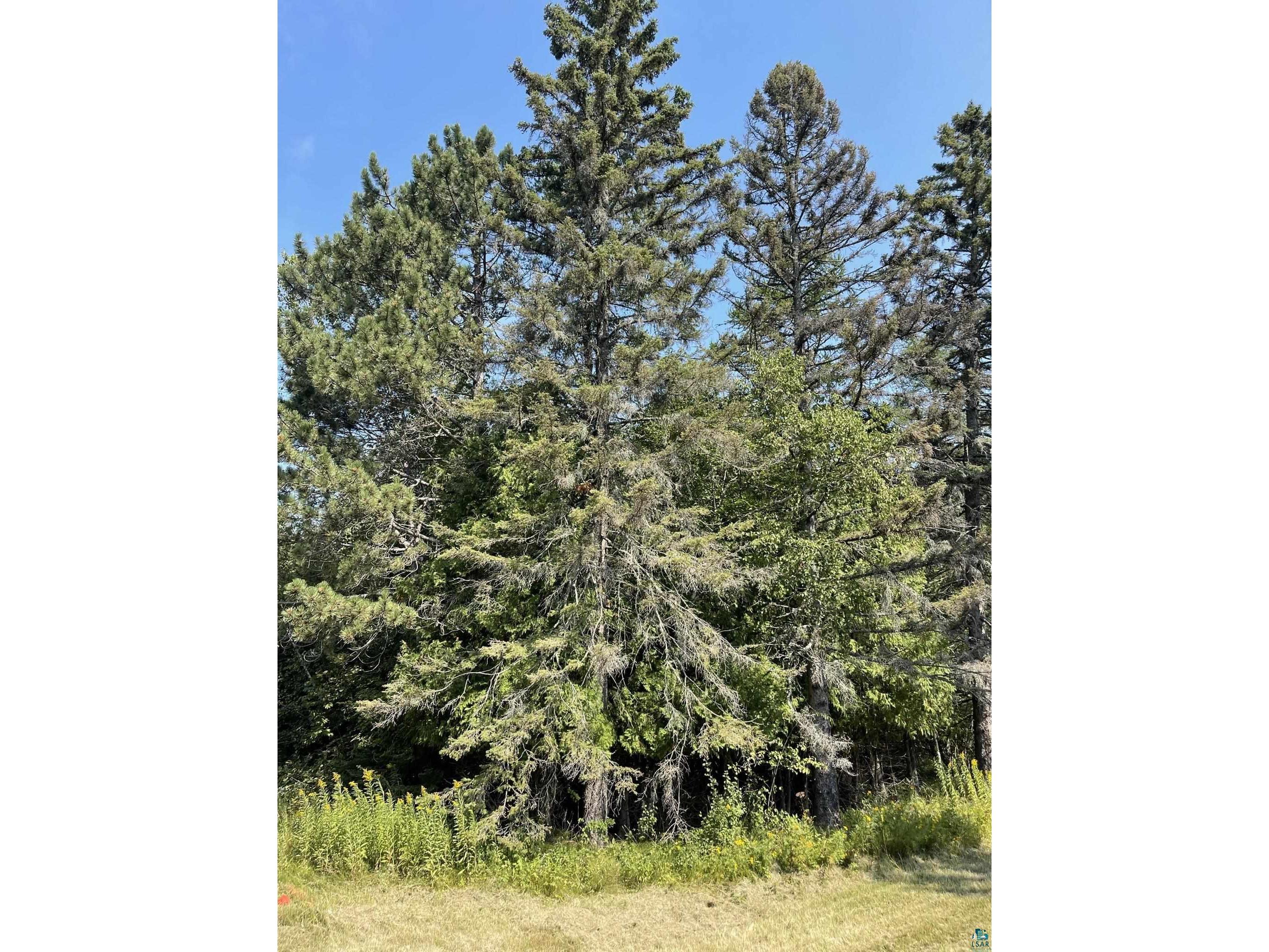 5156 McQuade Rd, Duluth, MN, 55804 MLS 6105375 Edina Realty