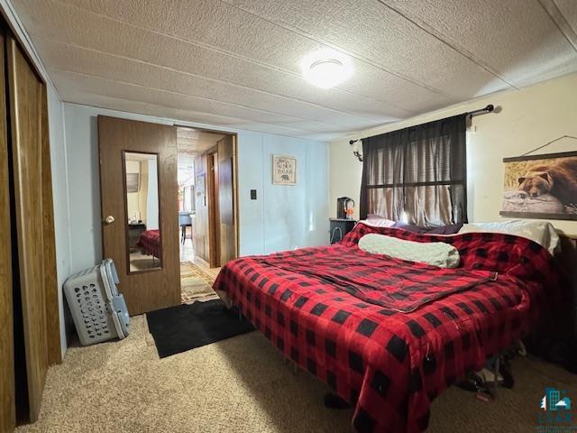 5165 Howard Gnesen Rd Duluth MN 55803 6125121 image10