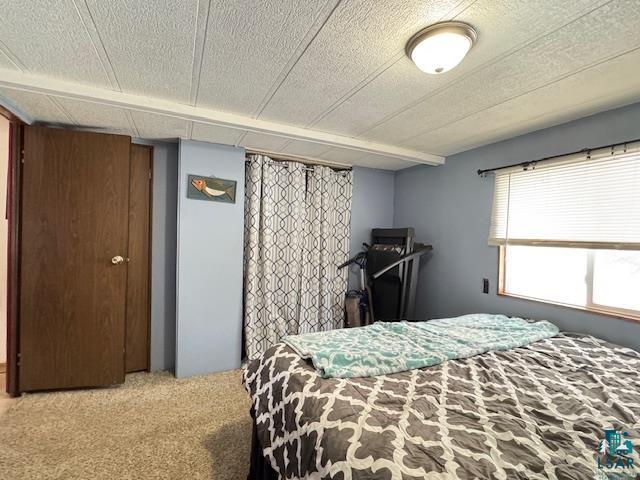 5165 Howard Gnesen Rd Duluth MN 55803 6125121 image14