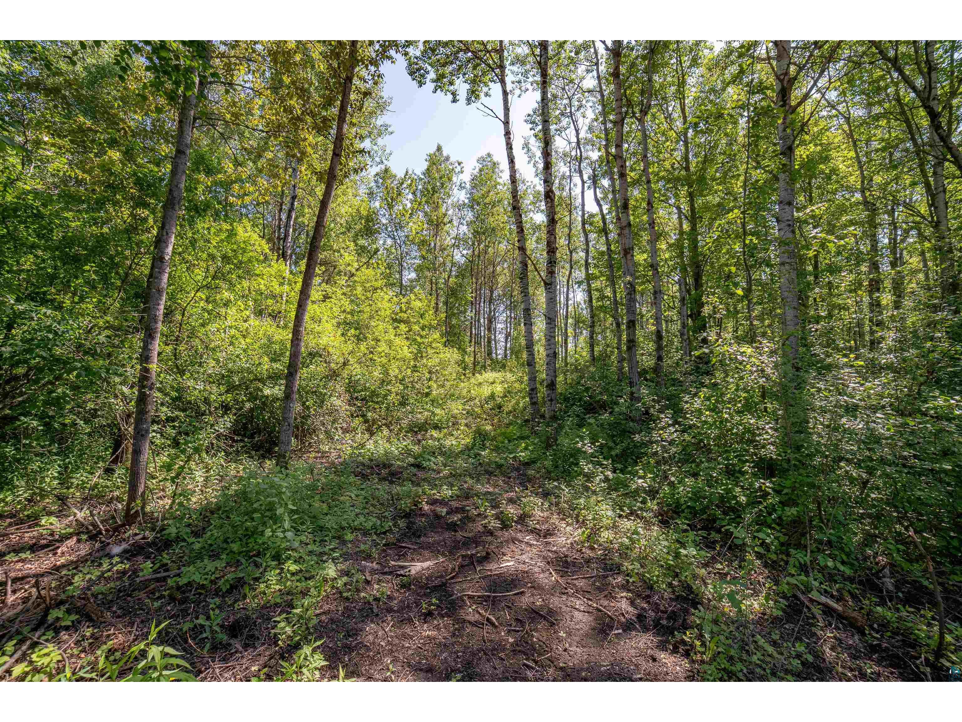 5170 & 5178 Hermantown Rd Hermantown MN 55811 6120420 image4