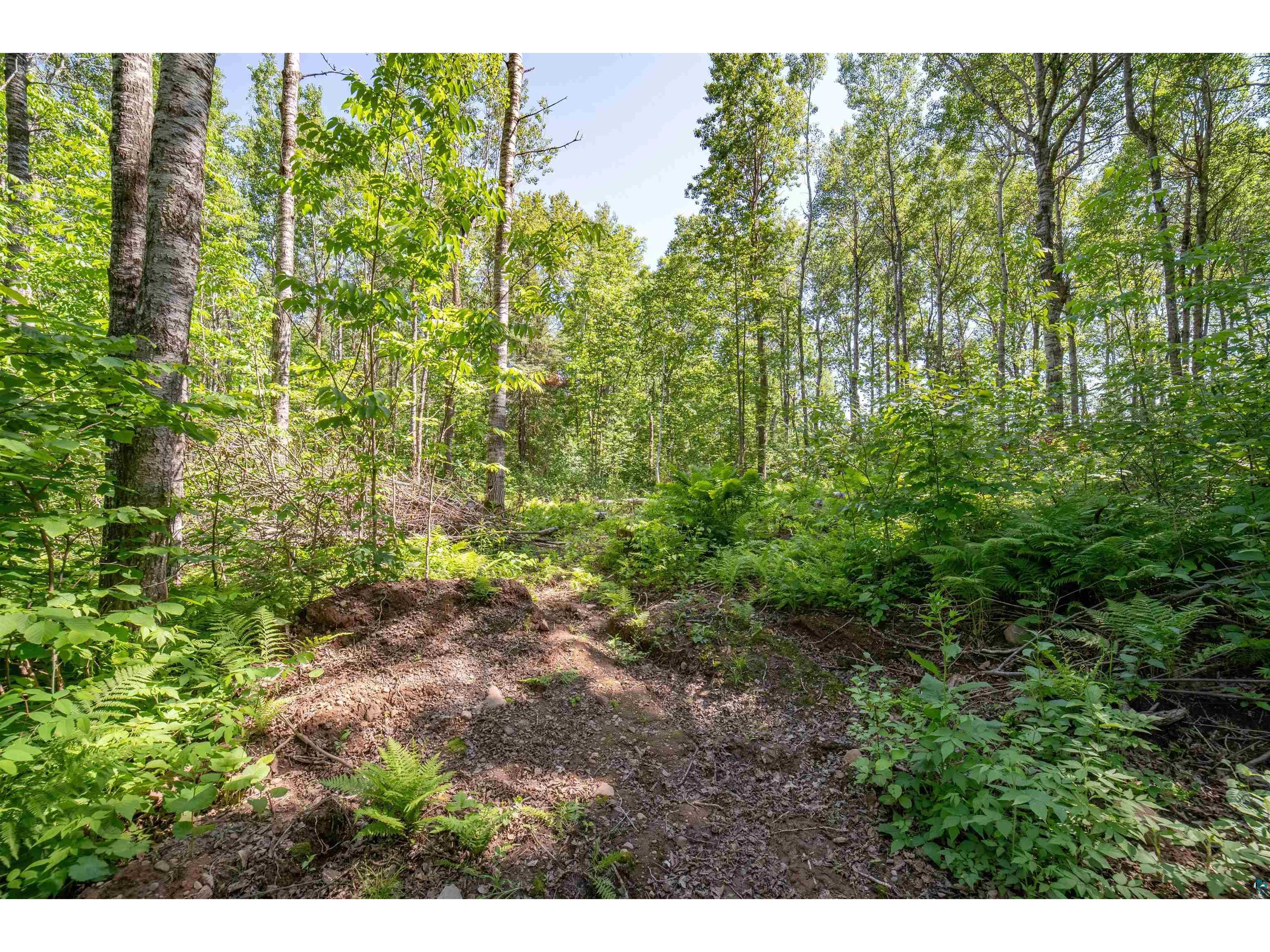 5170 & 5178 Hermantown Rd Hermantown MN 55811 6120420 image5