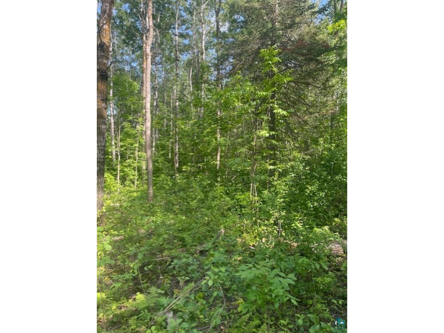 5186 Hermantown Rd Hermantown MN 55811 6120311 image7