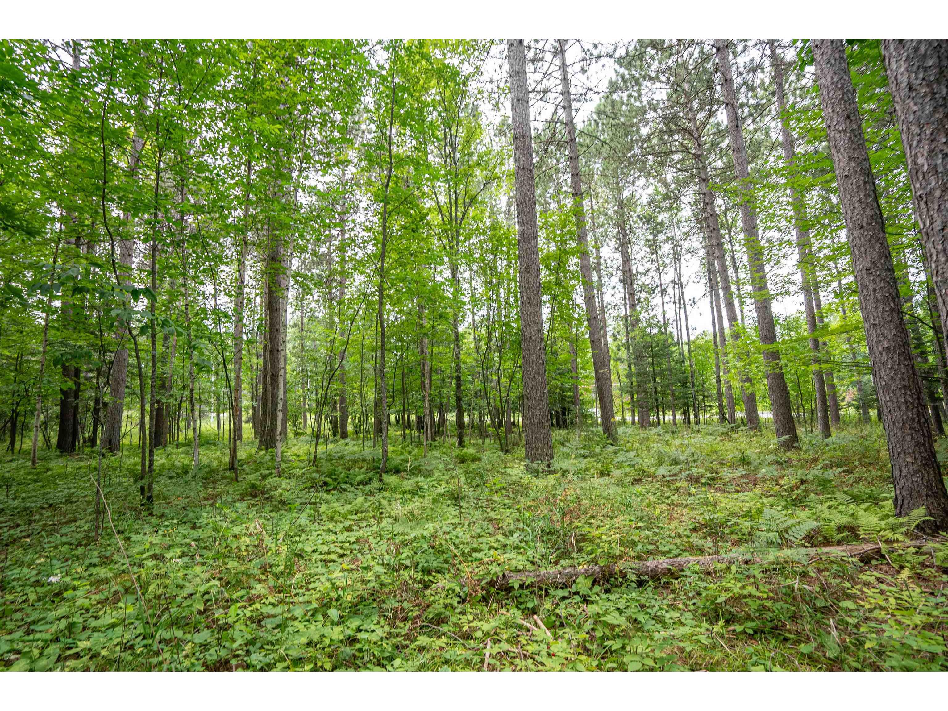 51xx Lindahl Rd Duluth MN 55811 6120486 image26